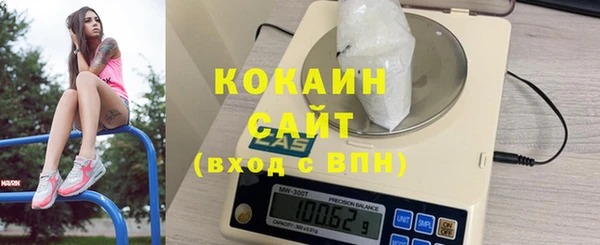 mdpv Ельня