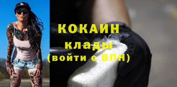 mdpv Ельня