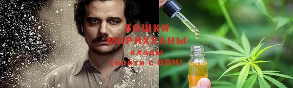 mdpv Ельня
