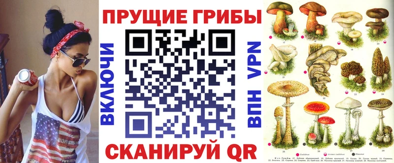 Купить  Луза  Псилоцибиновые грибы GOLDEN TEACHER 