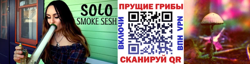 Галлюциногенные грибы Psilocybe Луза