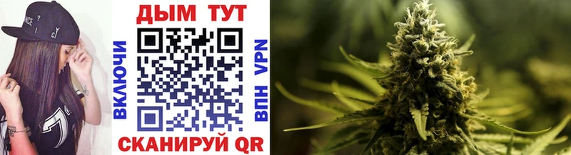 Купить закладки  Луза  Марихуана Ganja 